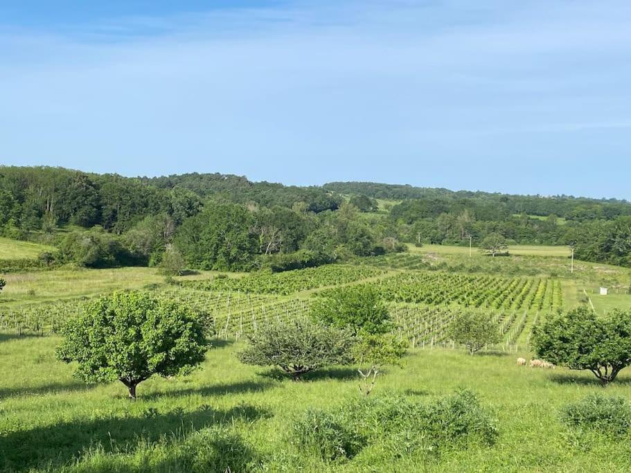 Chai Nous ! Maison Renovee Sur Un Domaine Viticole Proche De Saint Emilion Gardegan-et-Tourtirac Esterno foto